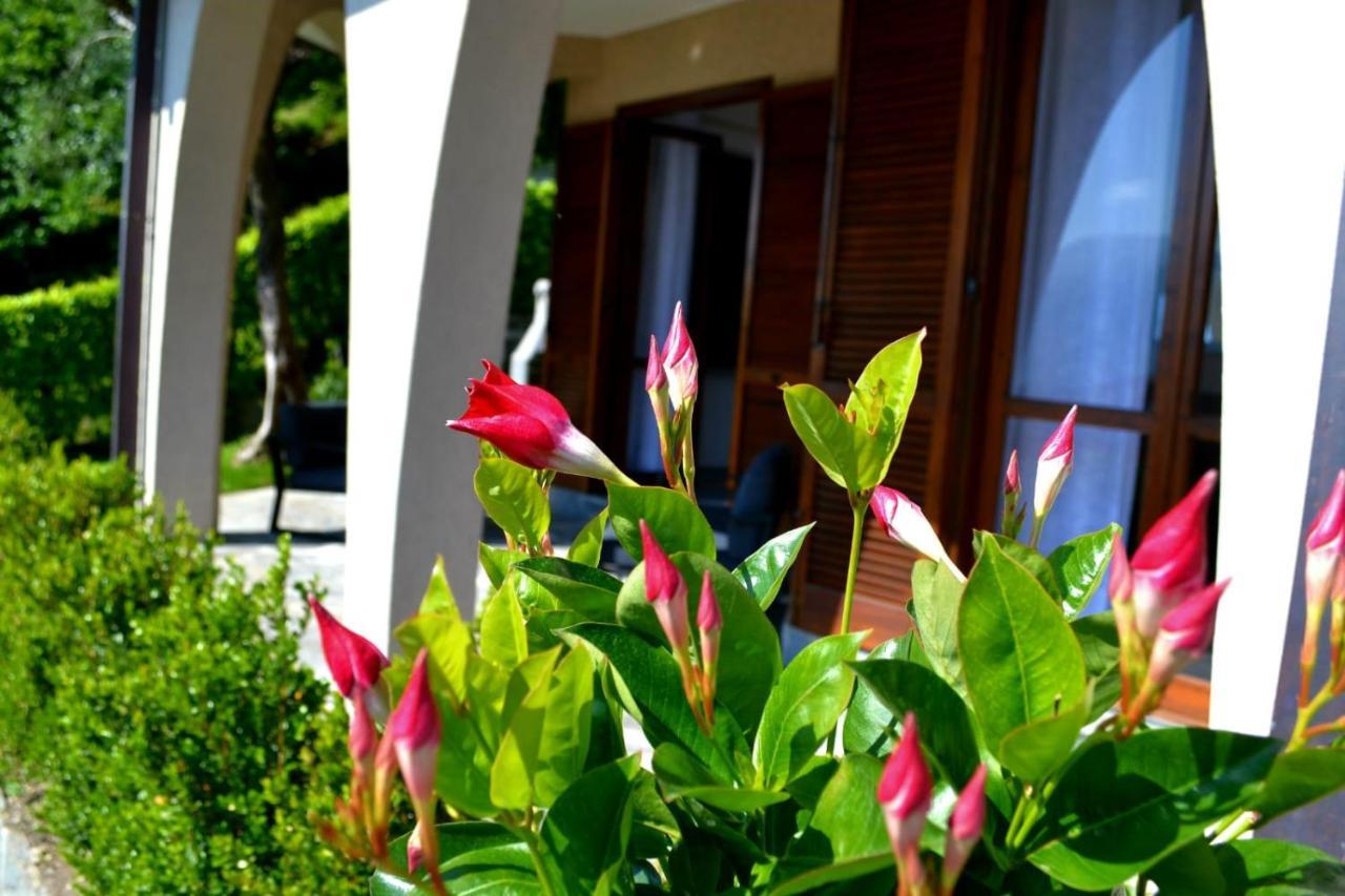 Le Grigne Guesthouse - The Garden Oliveto Lario ภายนอก รูปภาพ